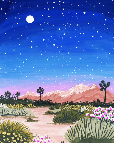 Desert Night Sky