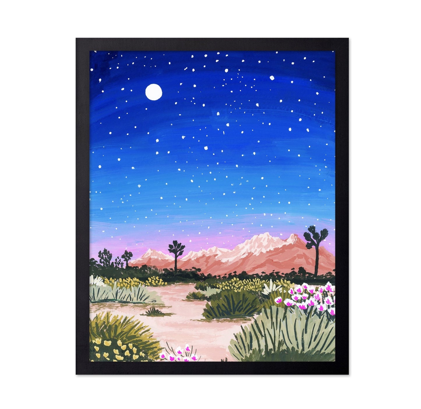 Desert Night Sky