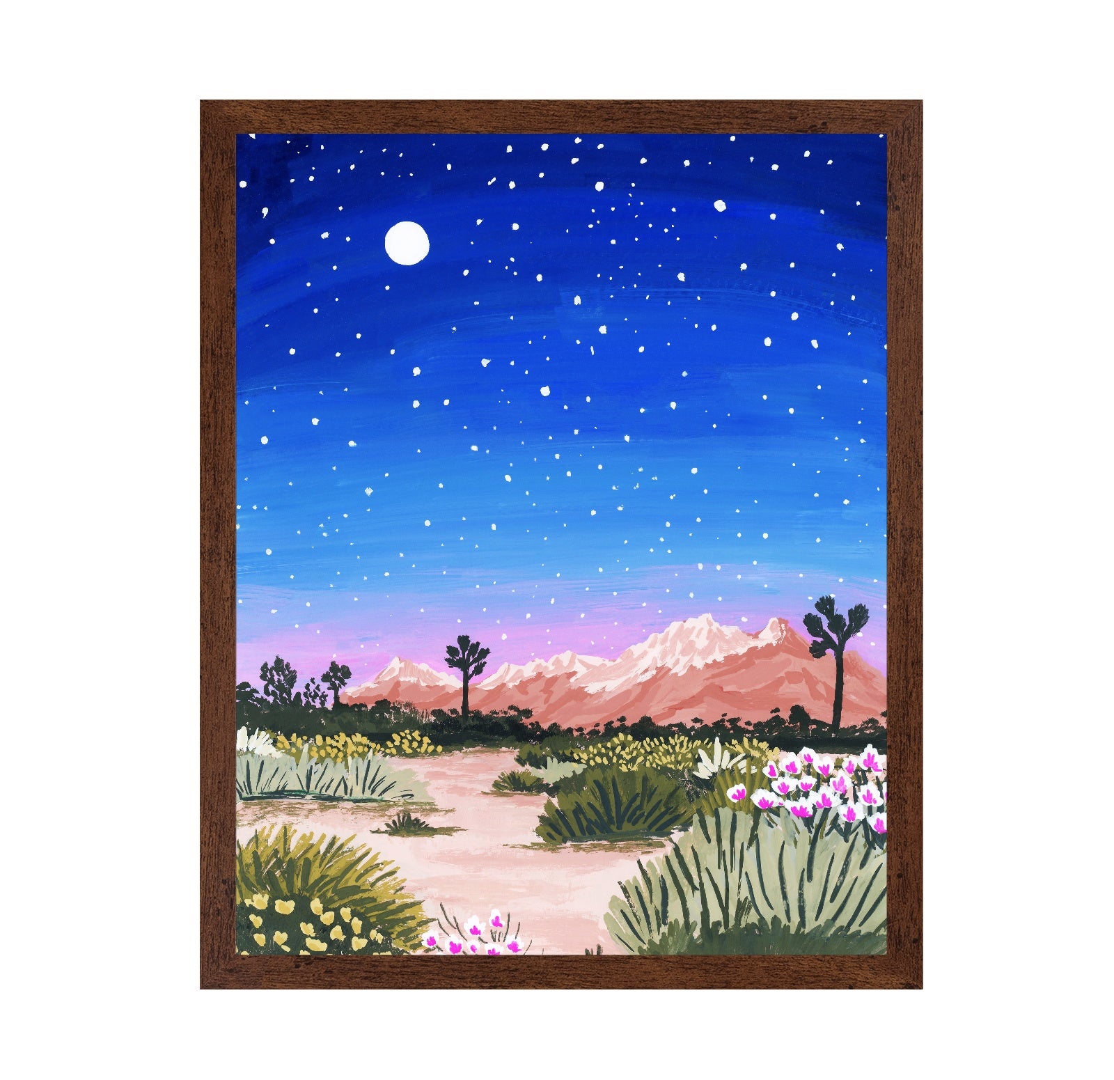 Desert Night Sky