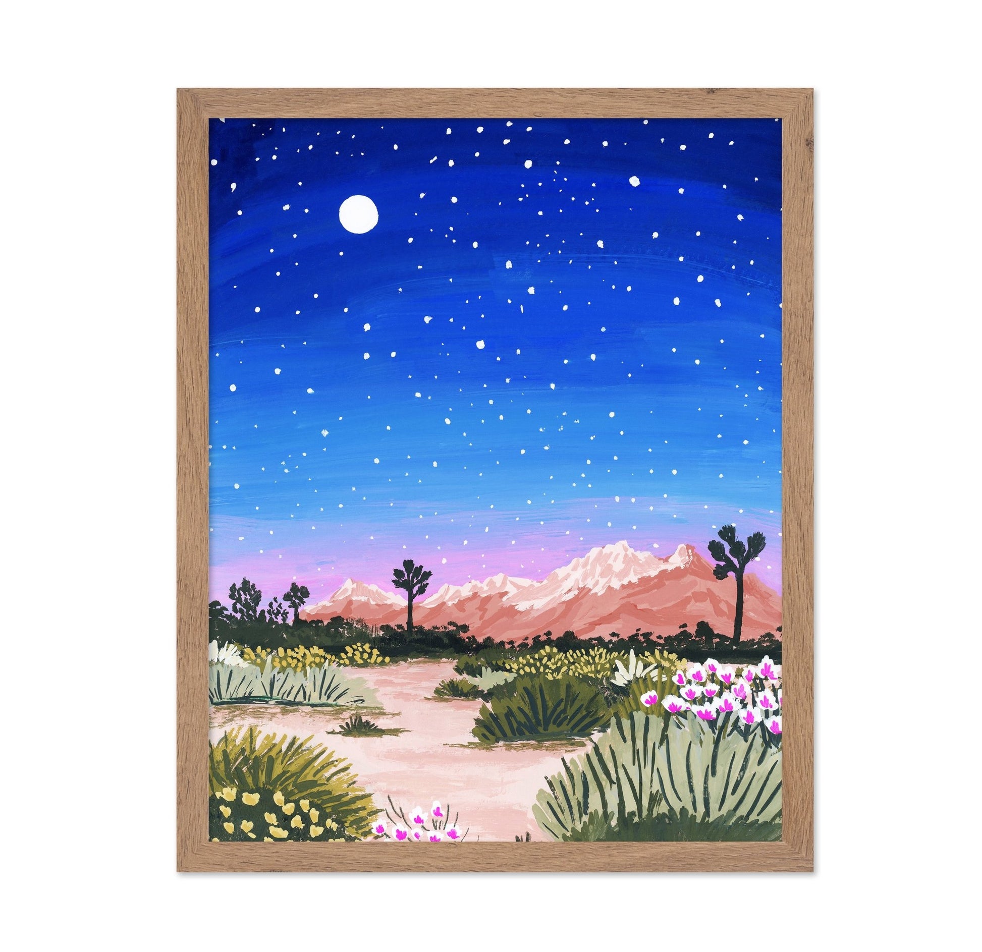 Desert Night Sky
