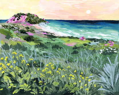 Coastal Wildflower View No3