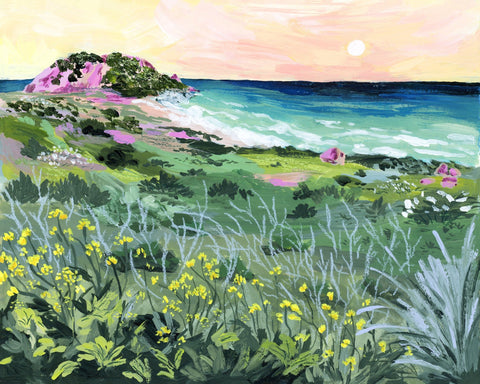 Coastal Wildflower View No3