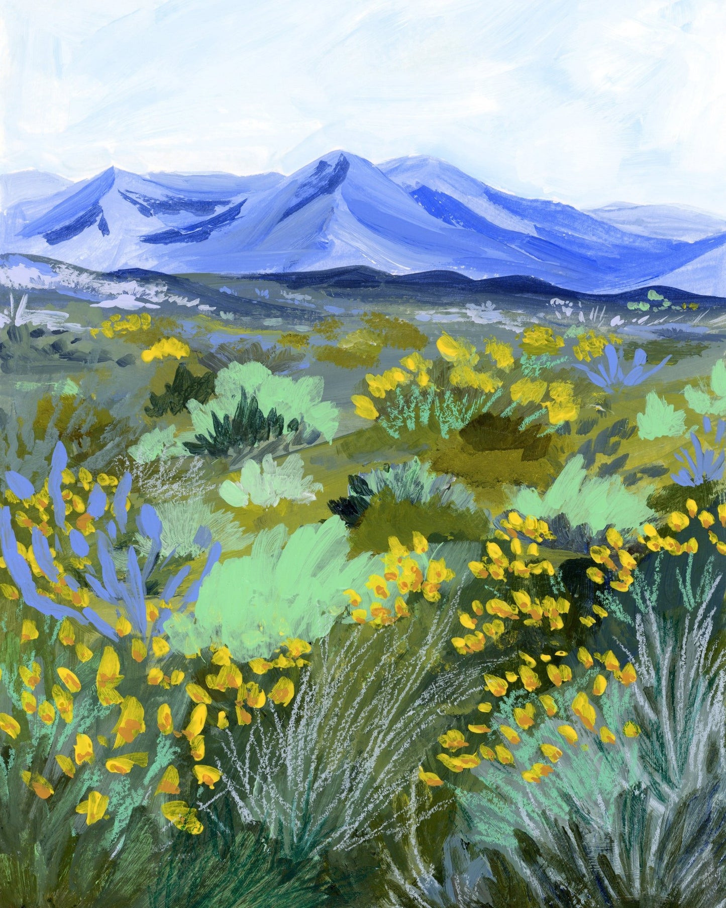 Blue Mountain Meadow