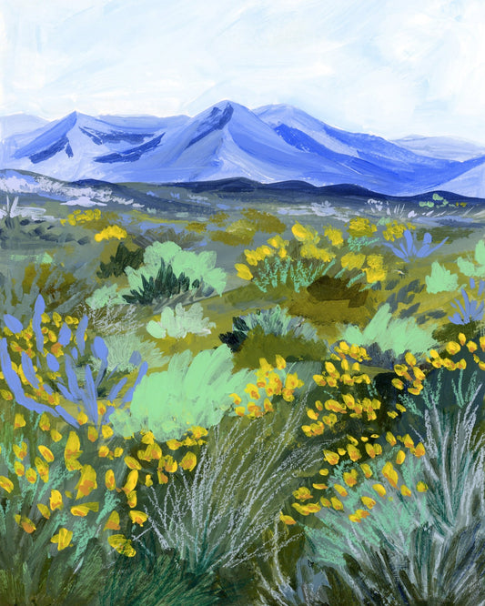 Blue Mountain Meadow