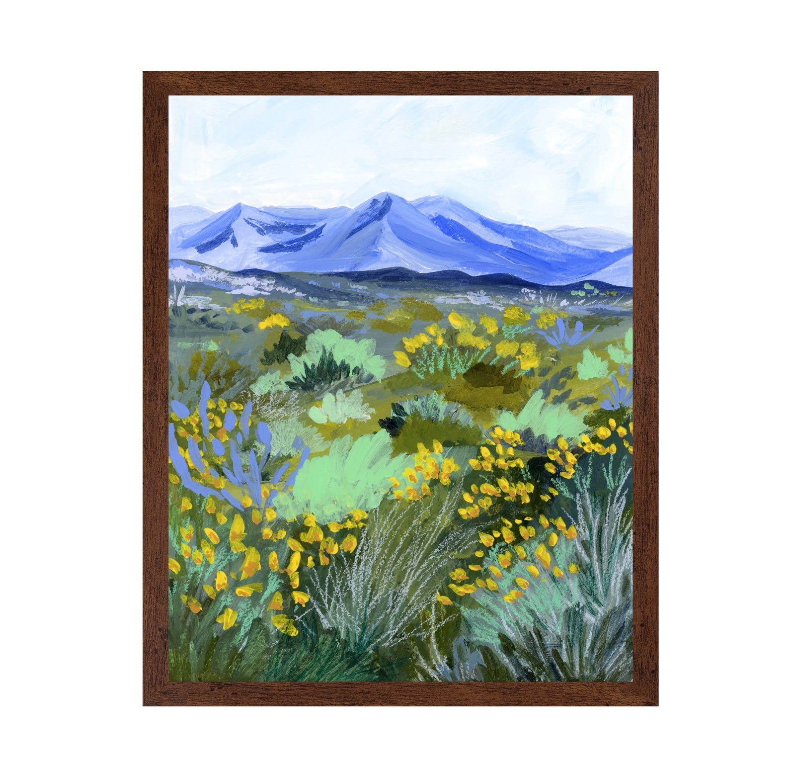 Blue Mountain Meadow