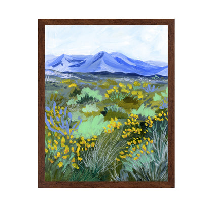 Blue Mountain Meadow