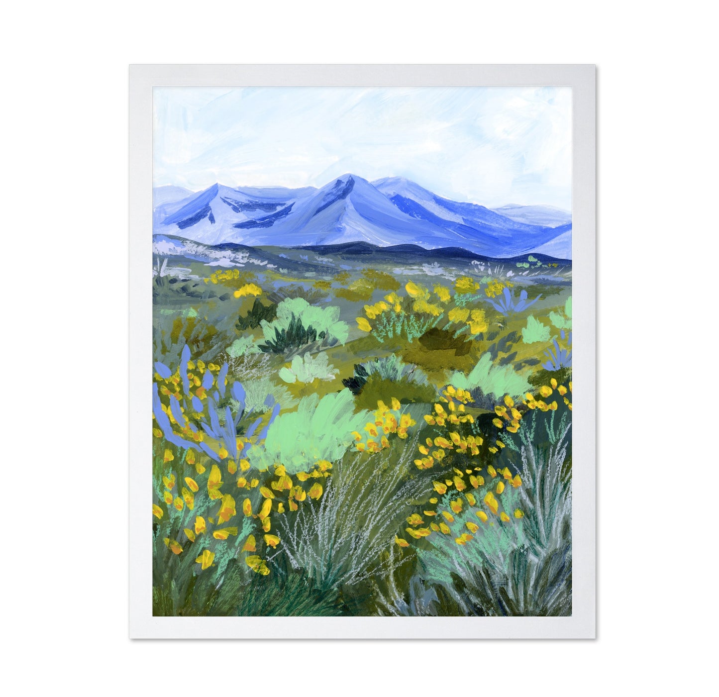 Blue Mountain Meadow