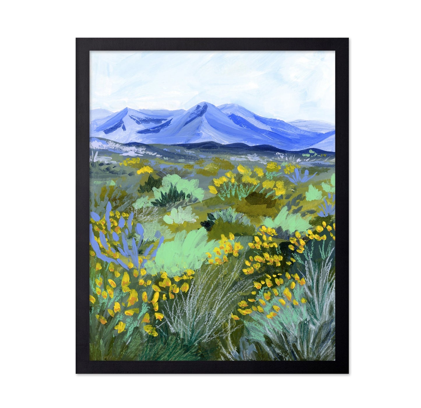 Blue Mountain Meadow