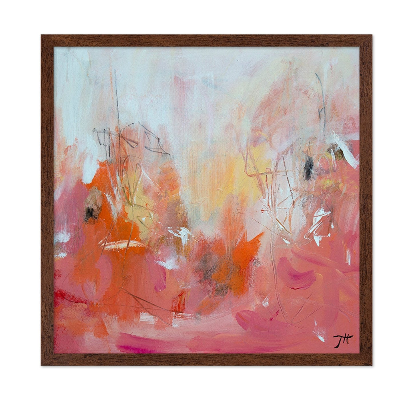 Soft Coral Abstract