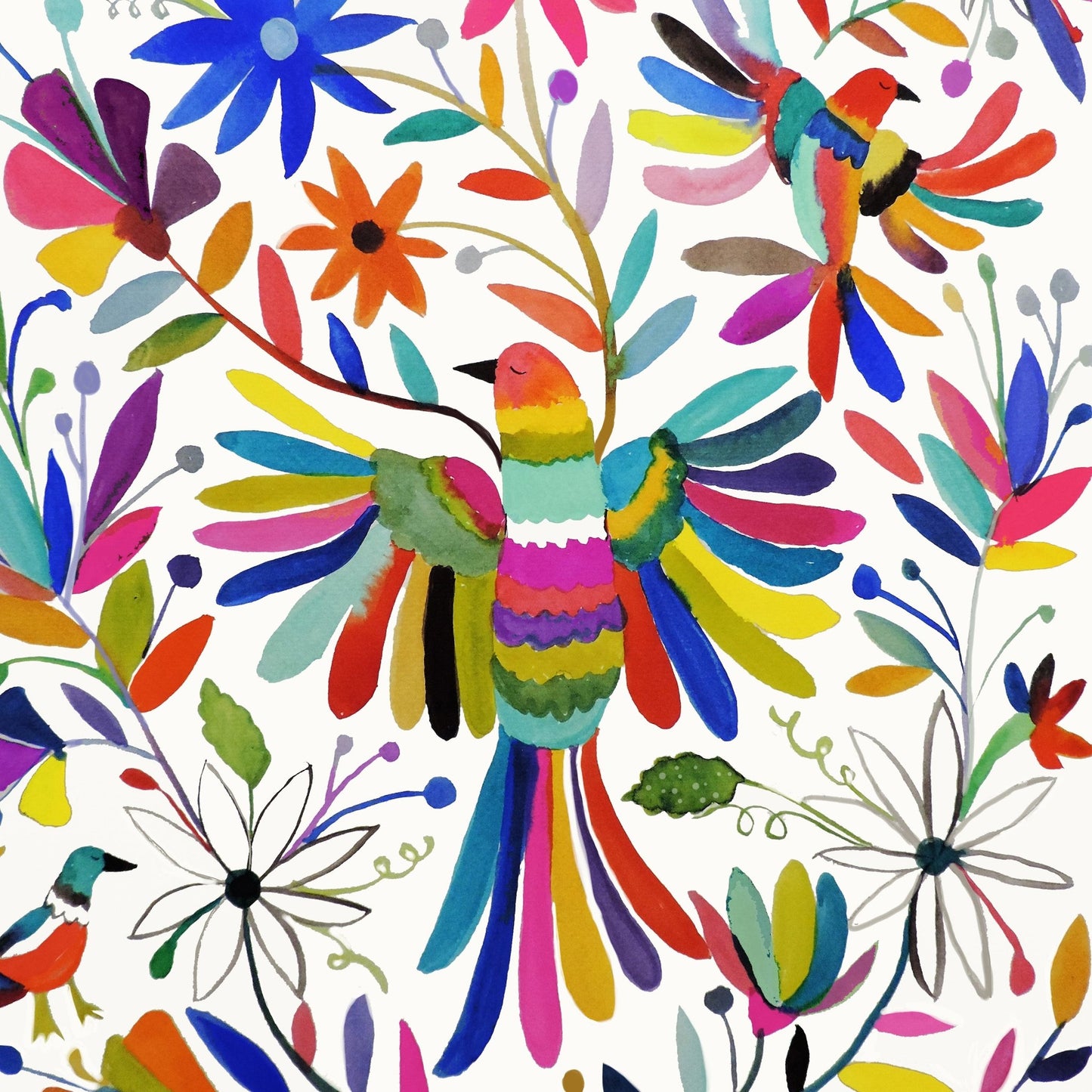 Rainbow Bird Garden