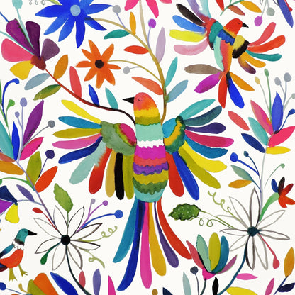 Rainbow Bird Garden