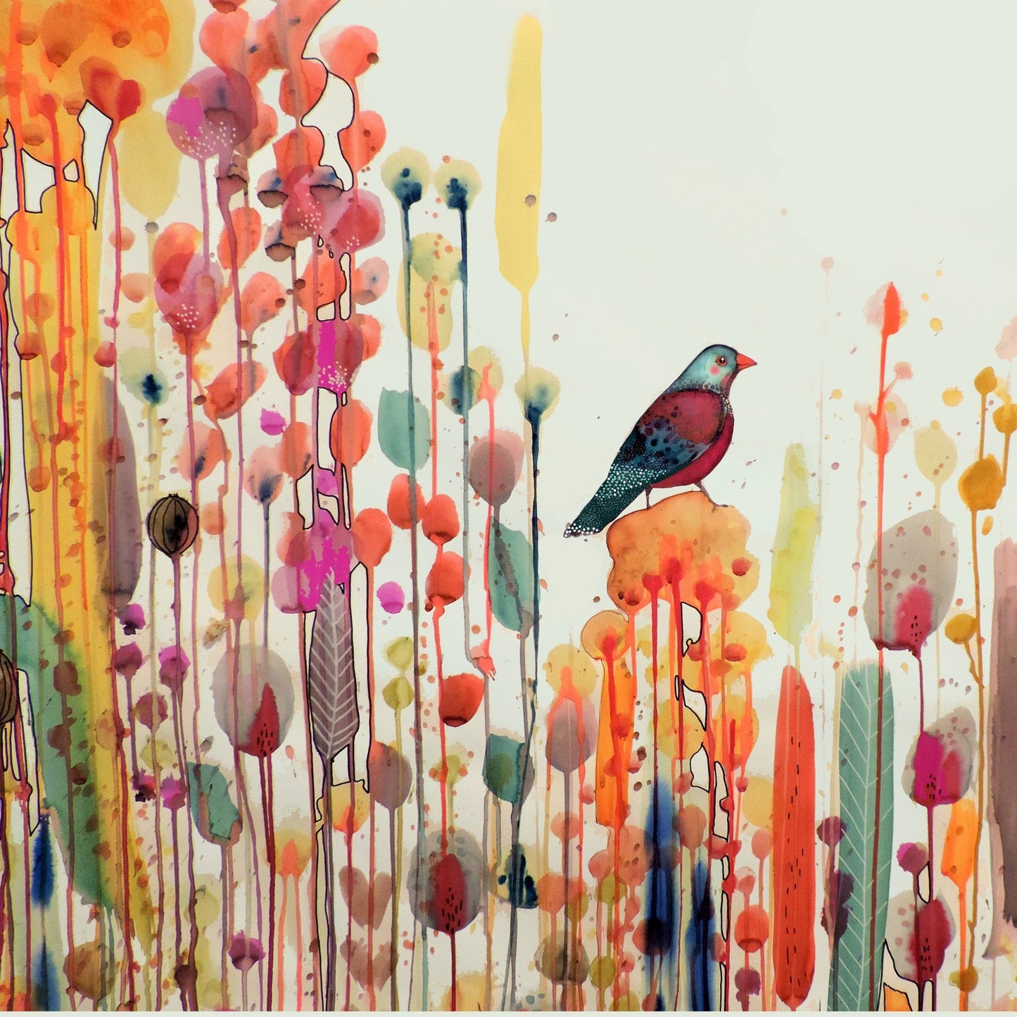 Colorful Bird Meadow No1
