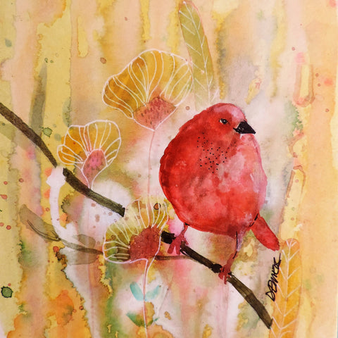 Red Bird Blossom