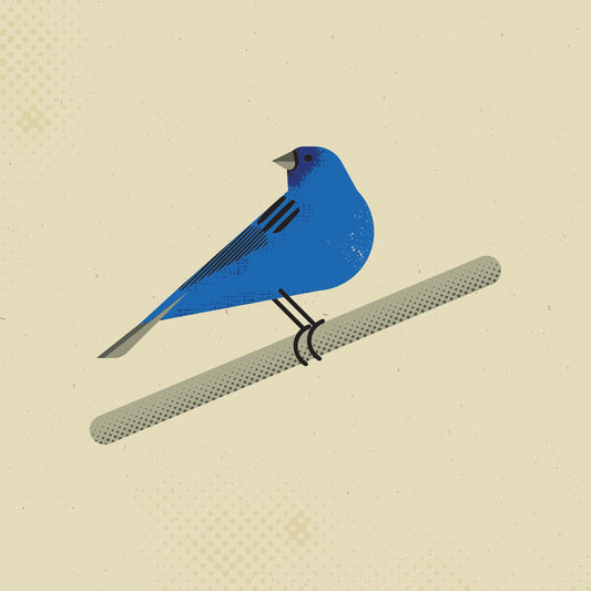 Blue Bird Perch