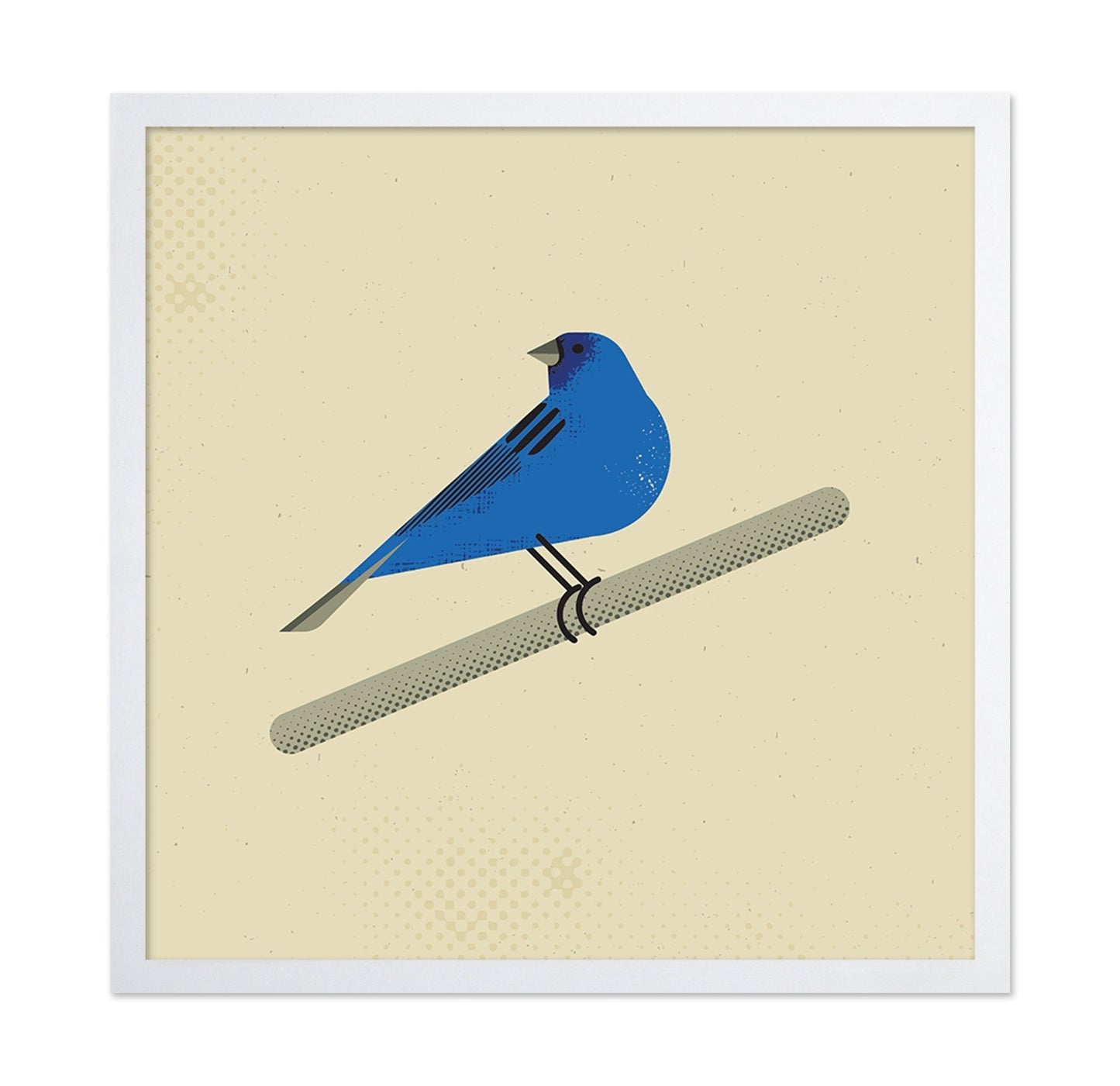 Blue Bird Perch