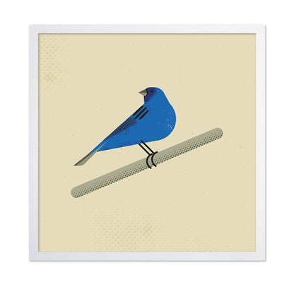 Blue Bird Perch
