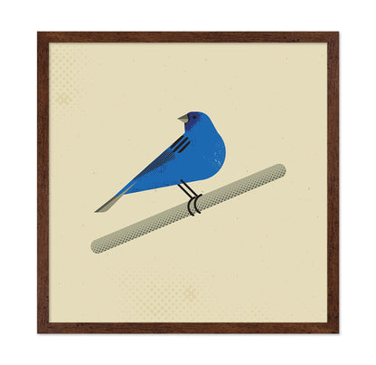 Blue Bird Perch