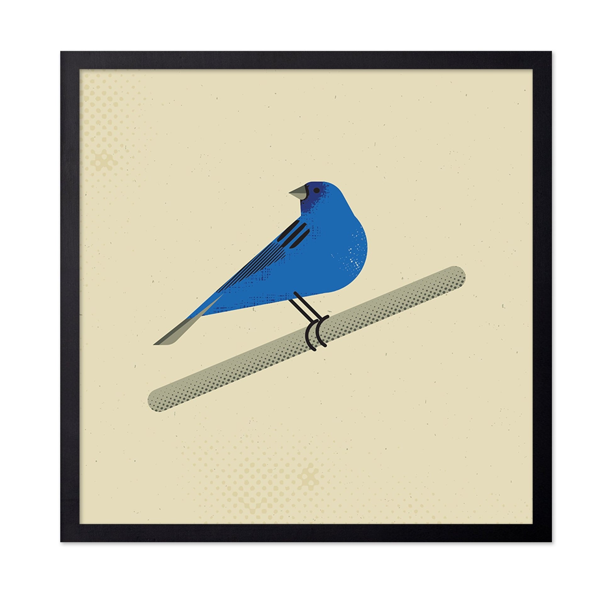 Blue Bird Perch