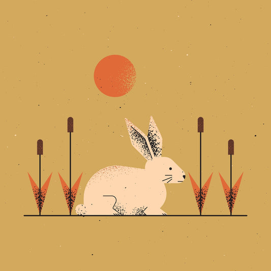 Desert Bunny Scene
