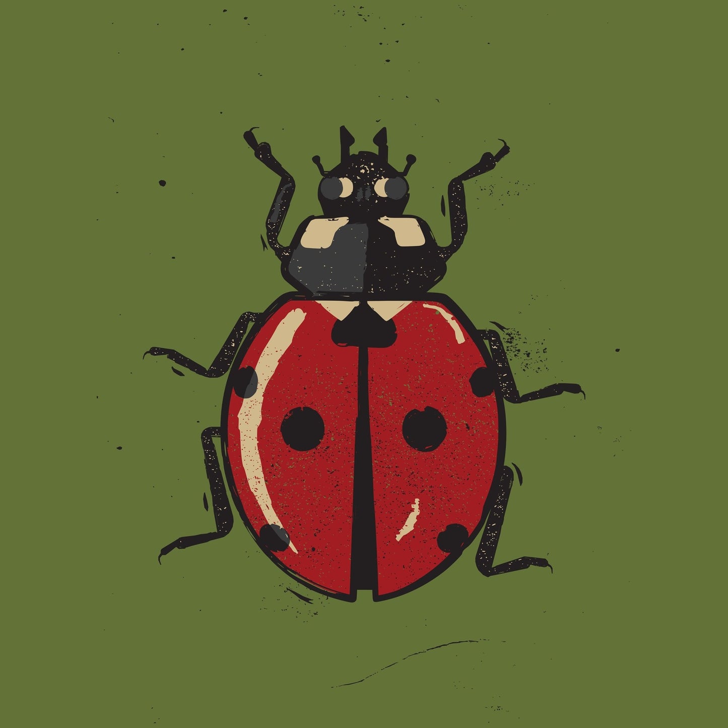 Vintage Ladybug