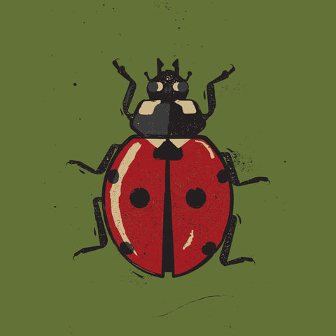 Vintage Ladybug