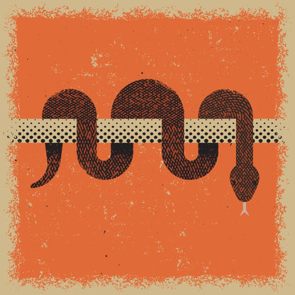 Coiled Snake Pattern