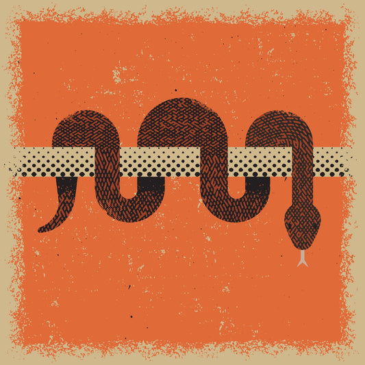 Coiled Snake Pattern