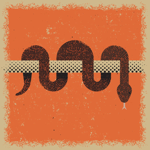 Coiled Snake Pattern