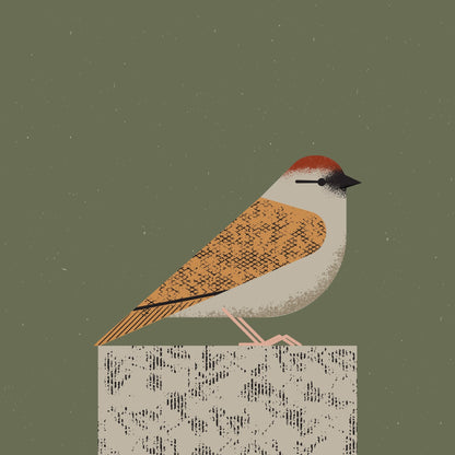 Perched Songbird