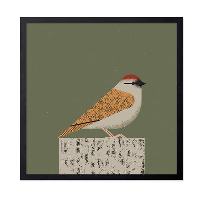 Perched Songbird