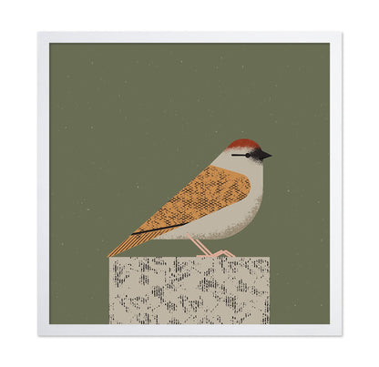 Perched Songbird