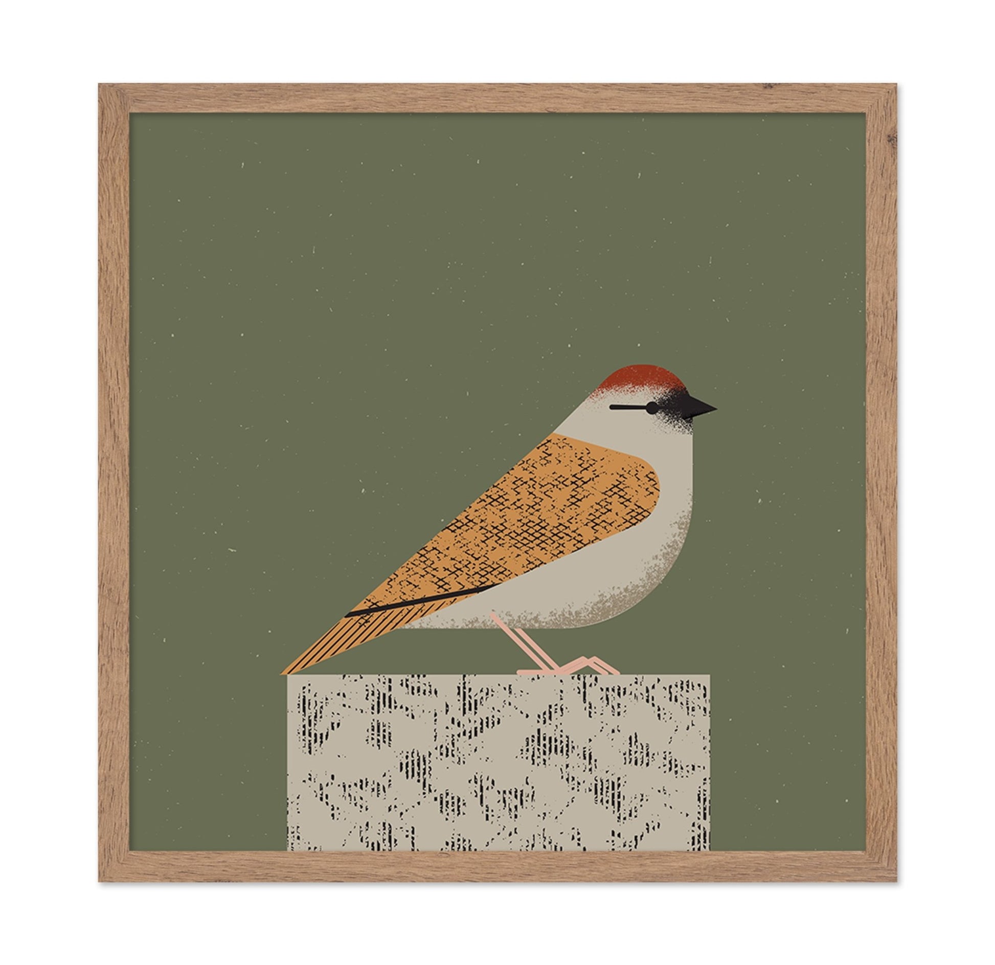Perched Songbird