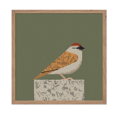Perched Songbird