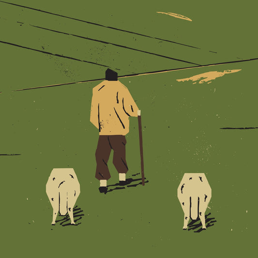 Shepherd In Fields
