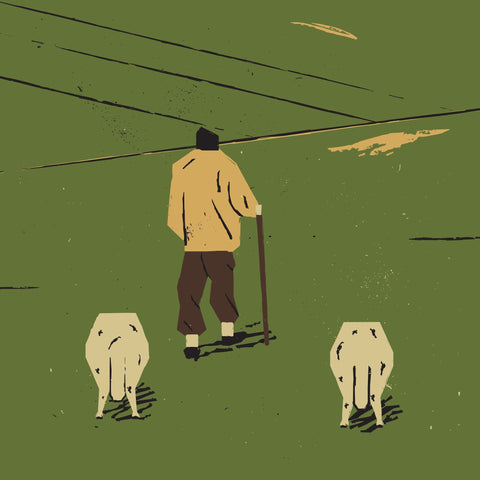 Shepherd In Fields