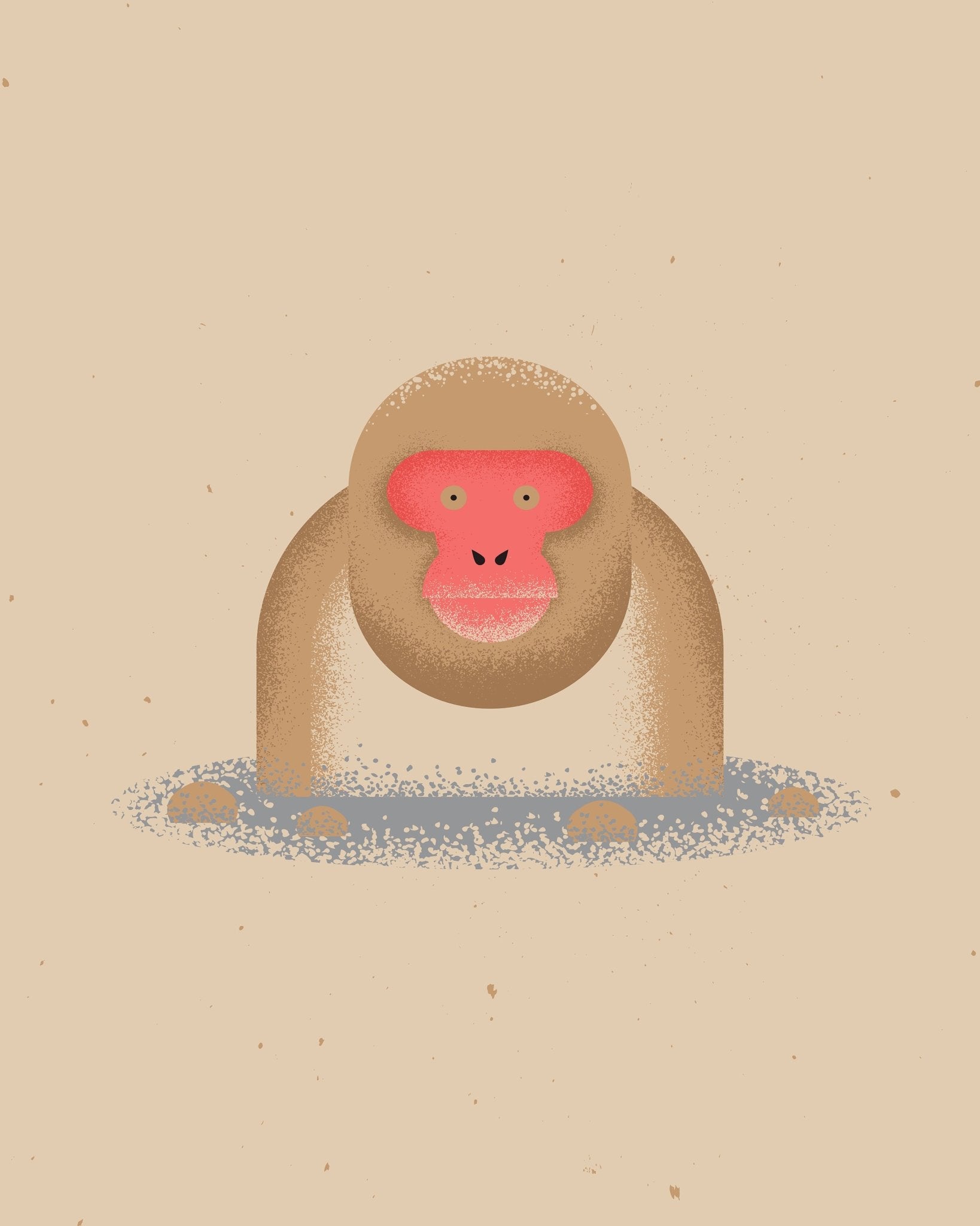 Curious Monkey Face