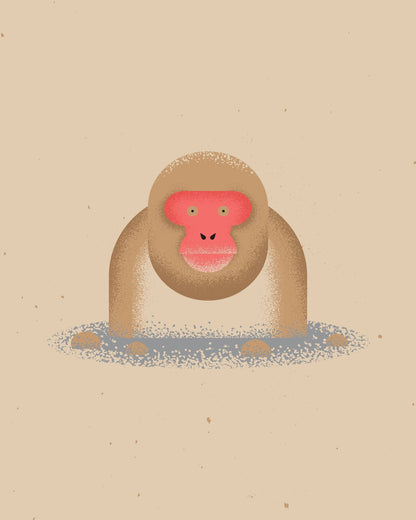 Curious Monkey Face