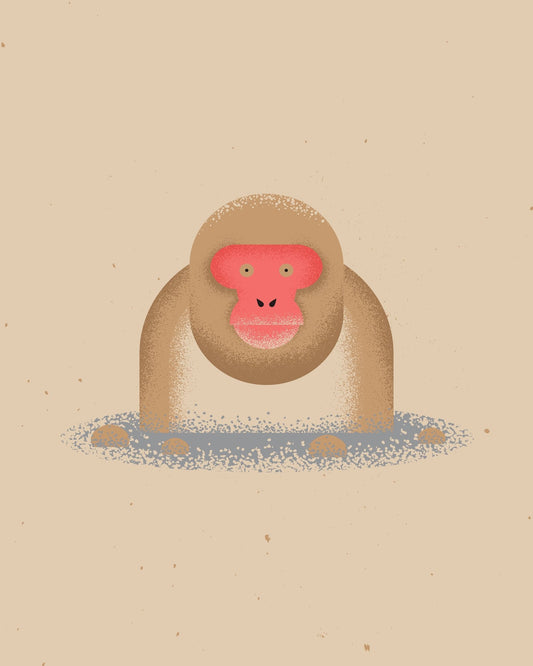 Curious Monkey Face