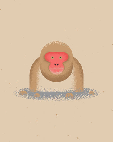 Curious Monkey Face