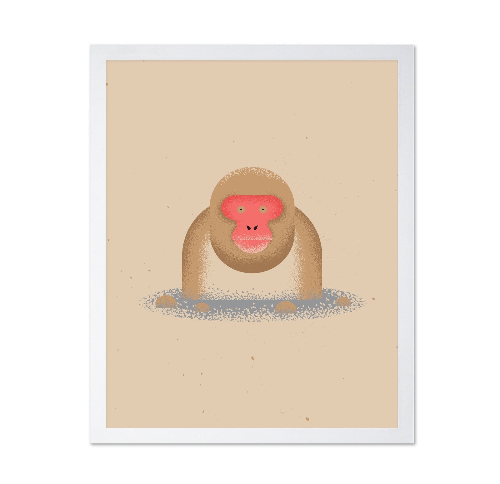 Curious Monkey Face