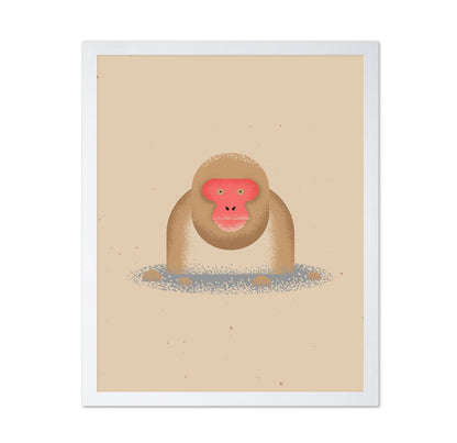 Curious Monkey Face