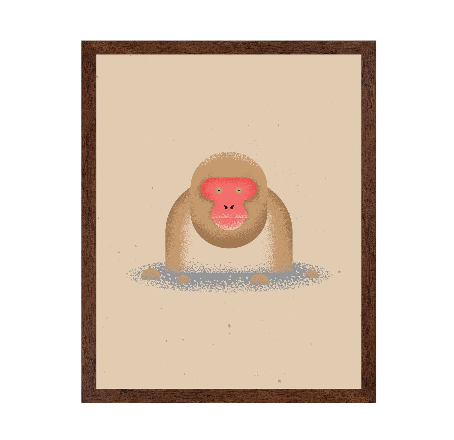 Curious Monkey Face