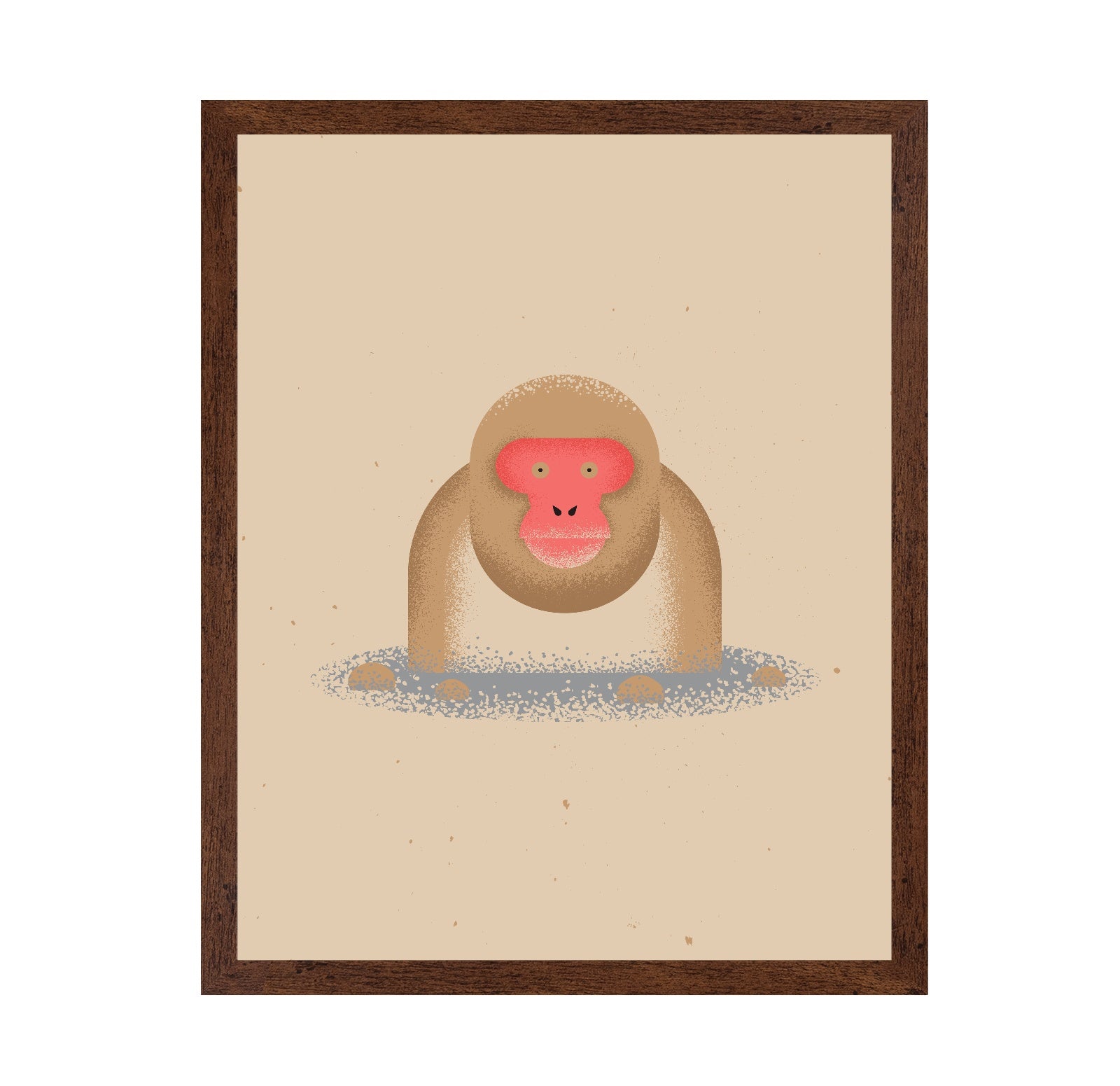 Curious Monkey Face