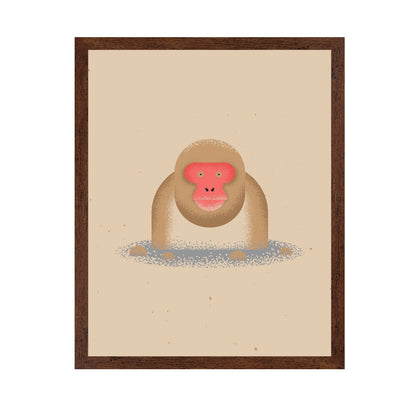 Curious Monkey Face