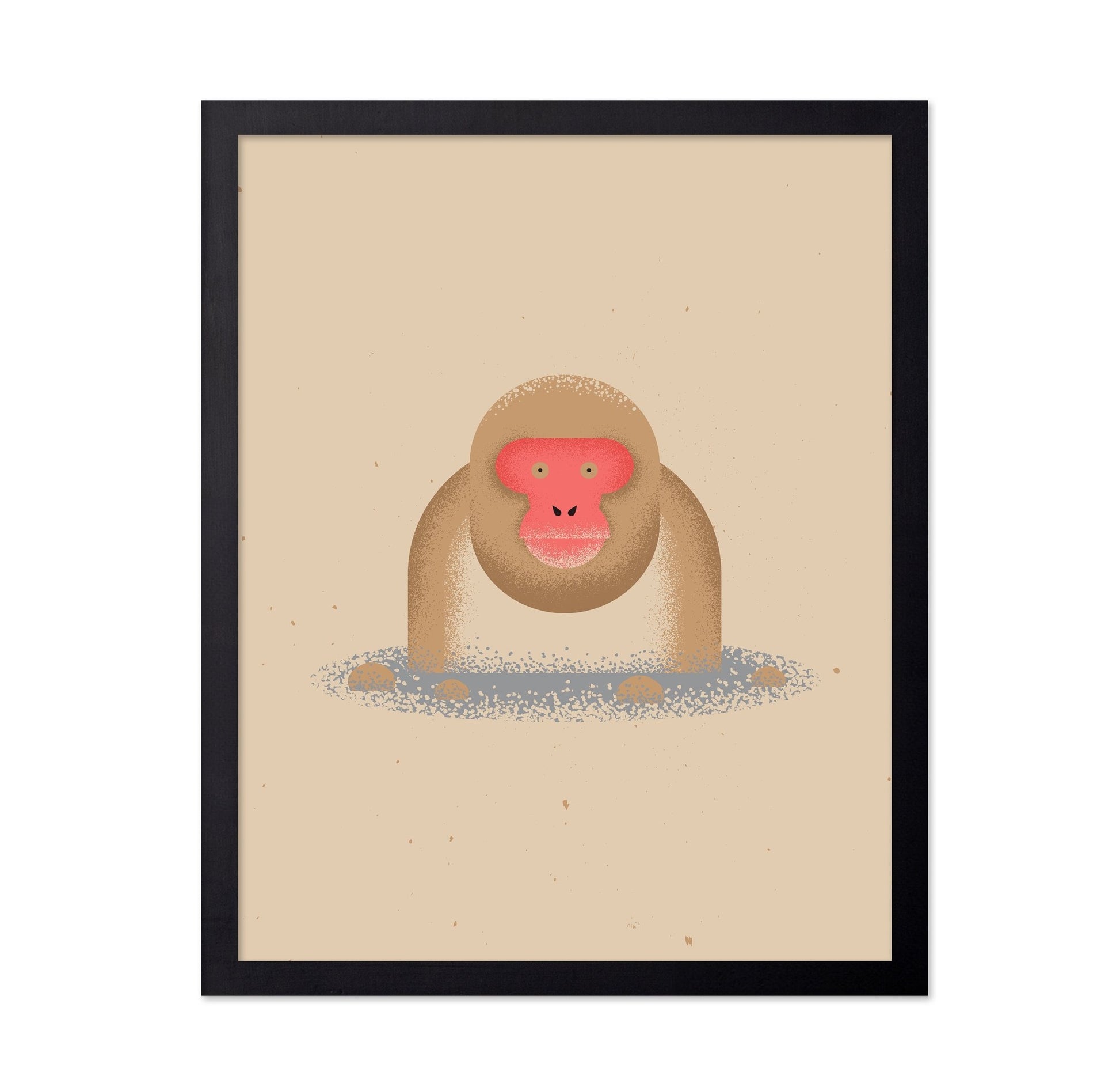 Curious Monkey Face