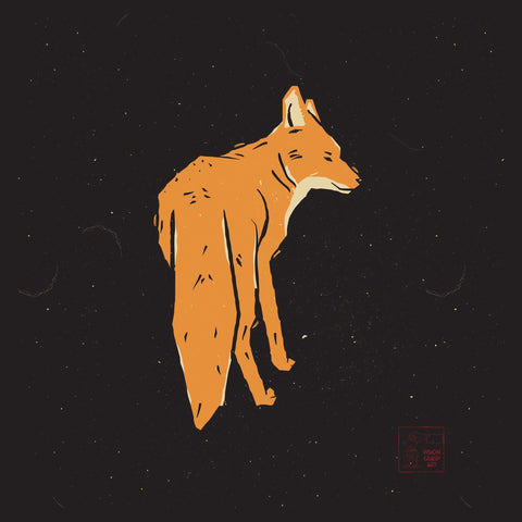 Lone Fox Night