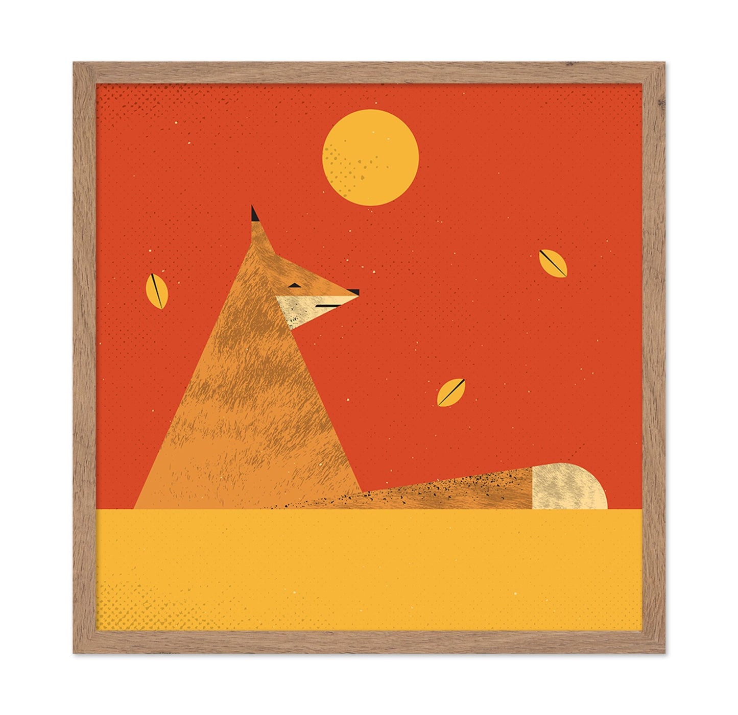 Fox In Autumn Sun