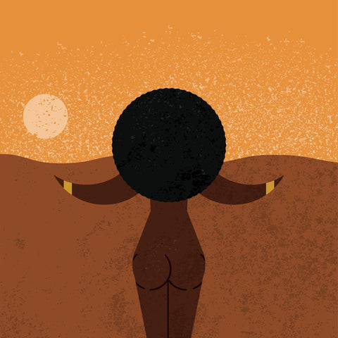 Desert Sunset Silhouette