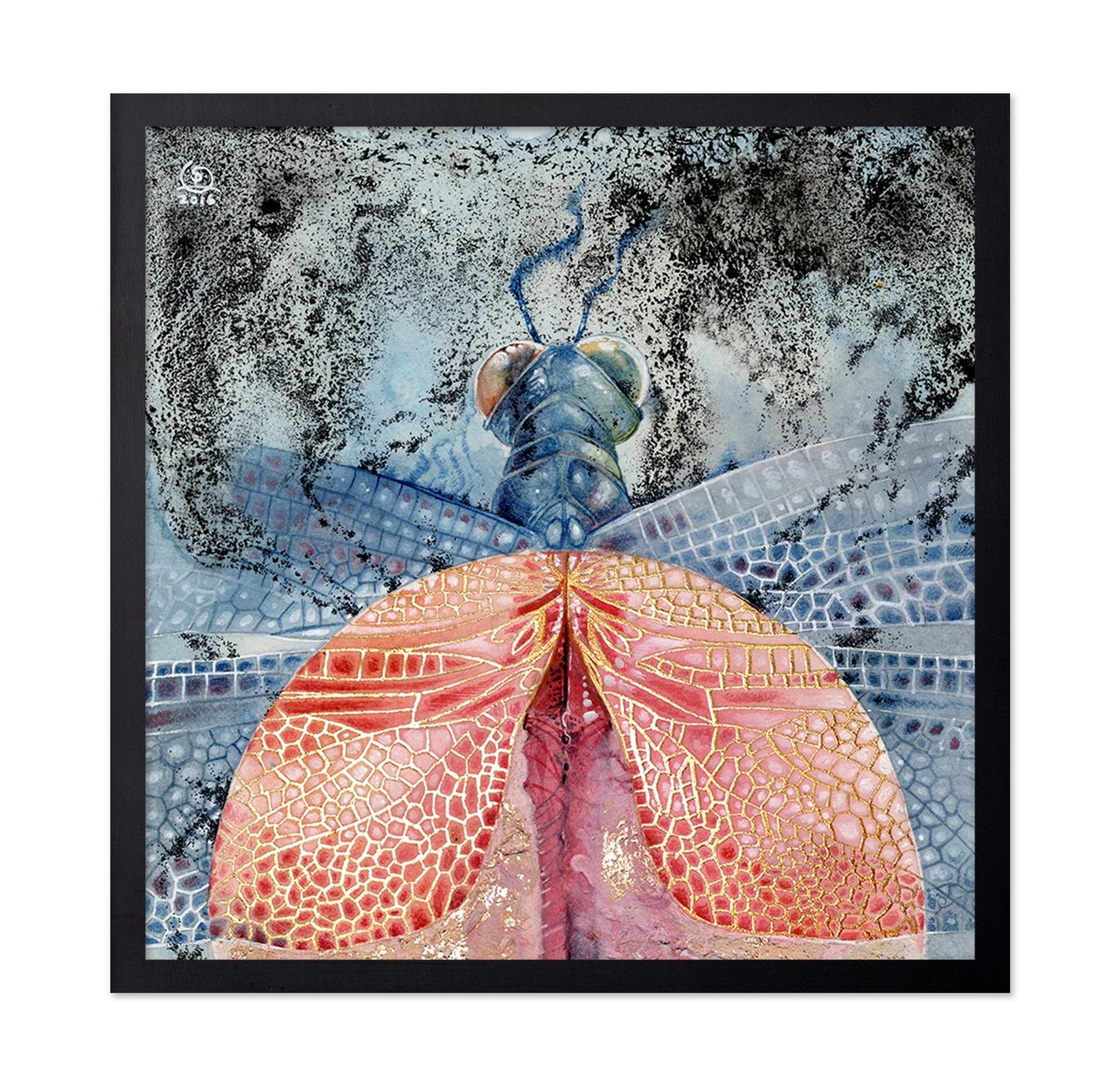 Crimson Wing Contrast