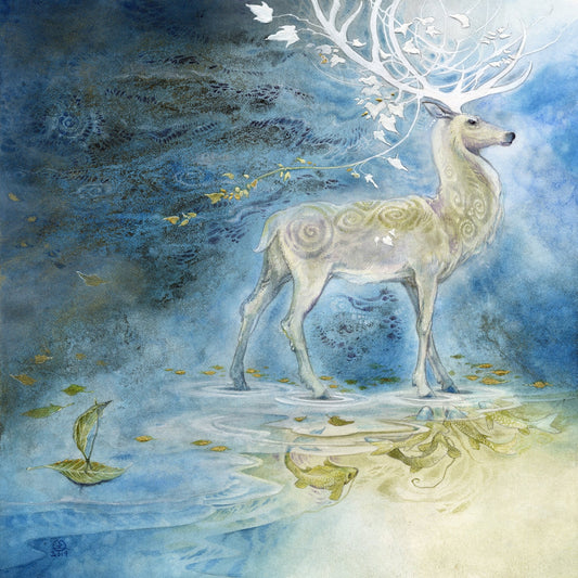 Spirit Deer Reflection
